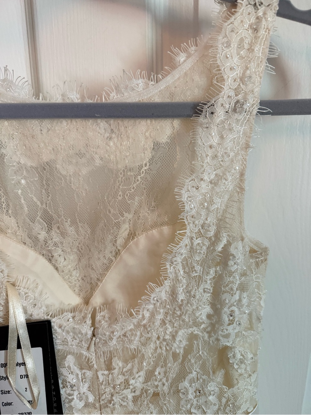 BHLDN Ivory and Champagne Lace A-Line Wedding Gown - Picture 7 of 10